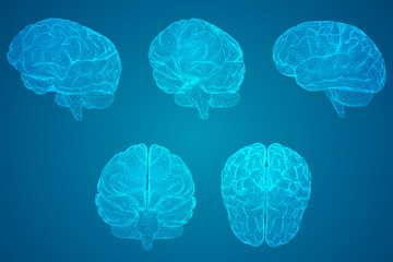 【疫情后的感受,疫情后的感受作文600字】