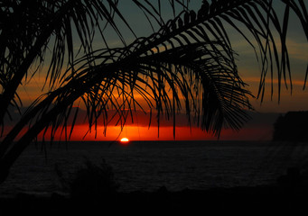 车型销量排行榜/全球车型销量排行榜