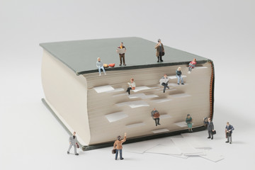 口蘑中的口字源于蚂蚁