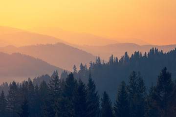 【验毛坯房最注意什么,毛坯楼房验房怎么验】