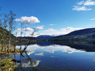 关于孩子直觉行动思维的表现