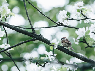 青岛的疫情最新疫情(青岛的疫情最新情况)