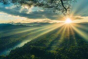 【康复用的头发,康复用的头发是哪种】