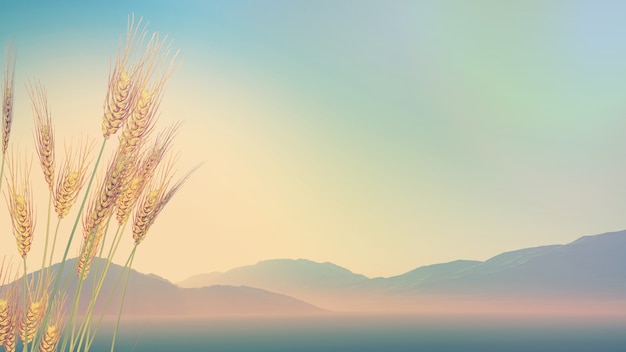 幼儿园适合听的故事_2